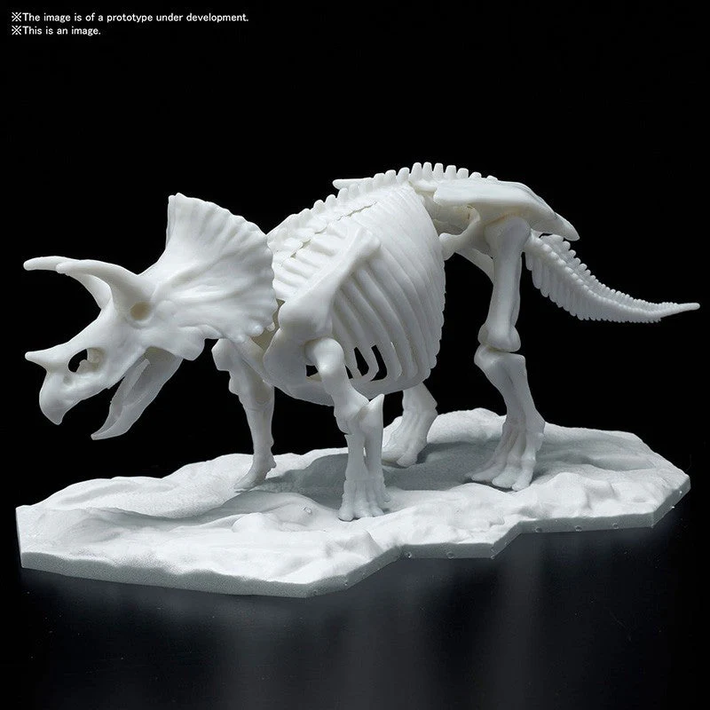 Bandai : Dinosaur Model Kit Limex Skeleton - Triceratops - Image 3