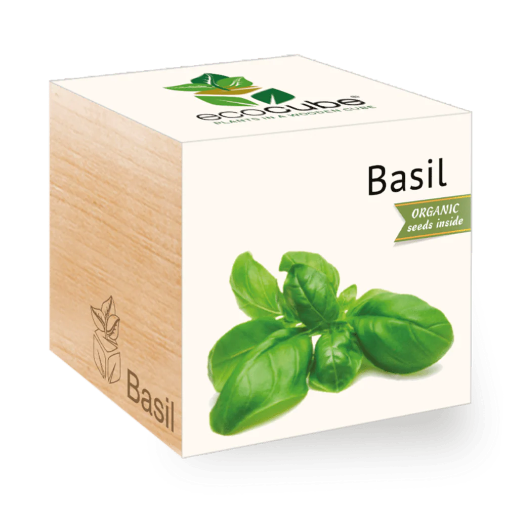 Ecocube Basil