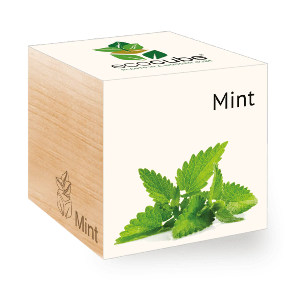 Ecocube Mint