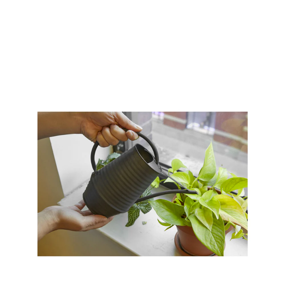 Industrial Watering Can