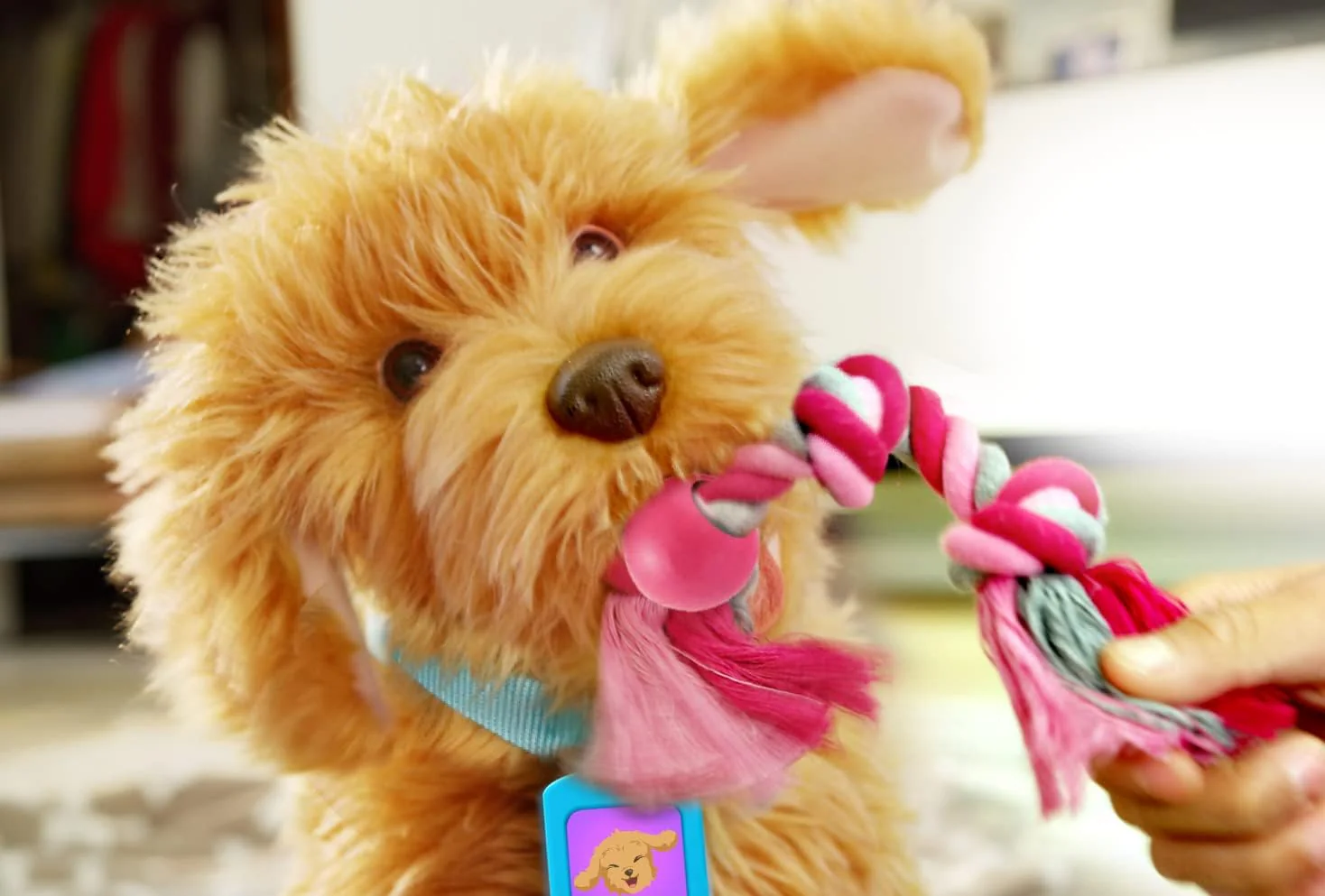My Fuzzy Friend Moji The Lovable Labradoodle - Image 4