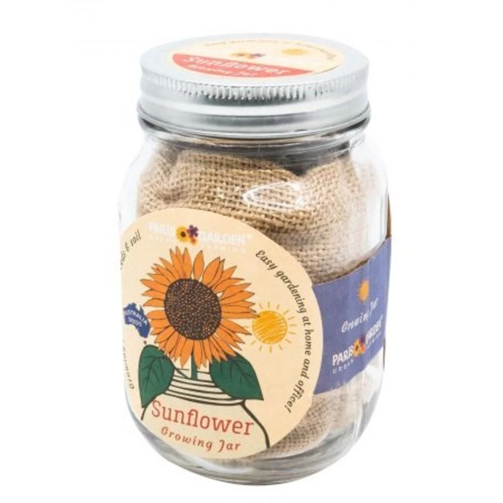 Paris Garden Mason Jar Grow Kit Sunflower
