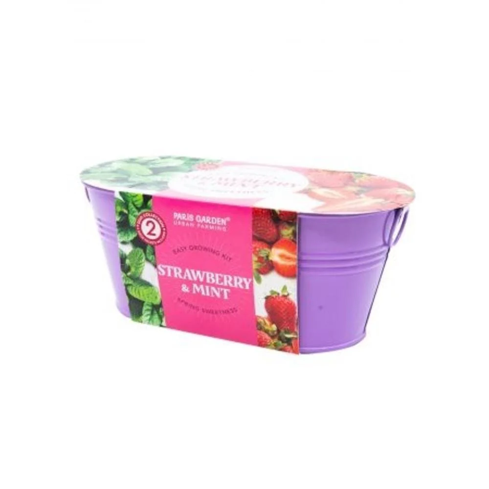 Paris Garden Mini Zinc Collection Strawberry/Mint