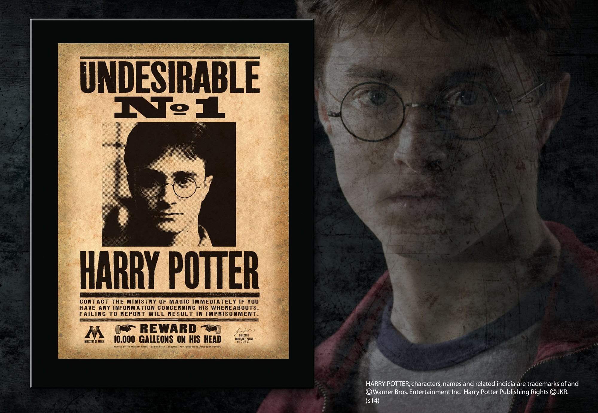 Harry Potter Undesirable No. 1 Sign Plaque by The Noble Collection - Image 2